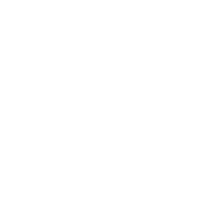 IB world school logo white solid